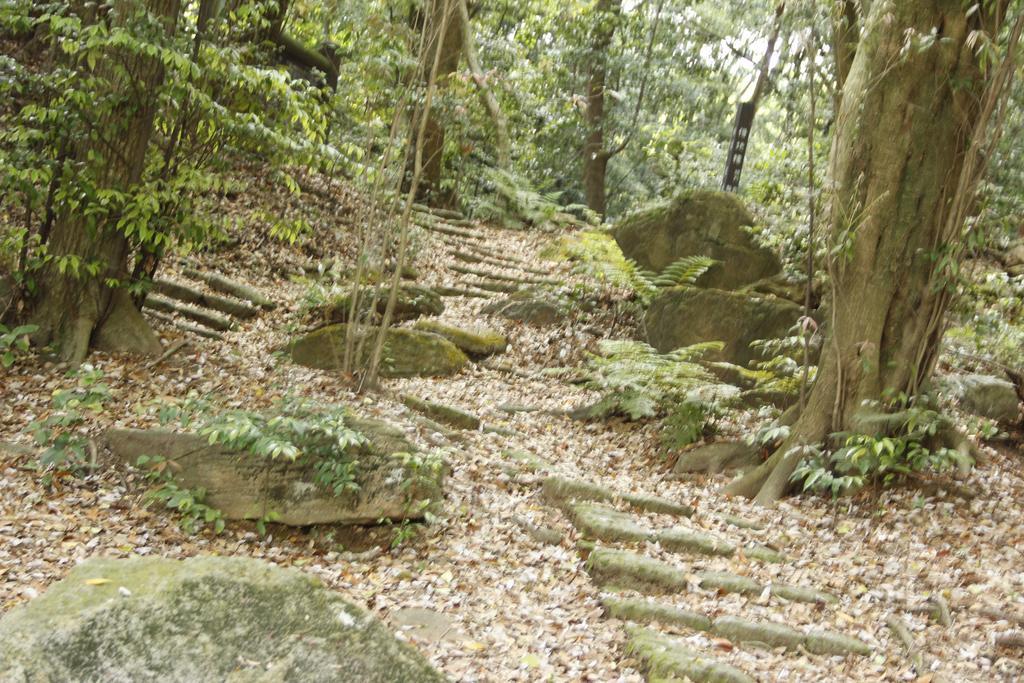 Minshuku Michiyasou Hotel Kirishima Esterno foto